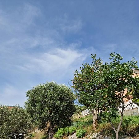 Gemy Bed & Breakfast Boissano Dış mekan fotoğraf